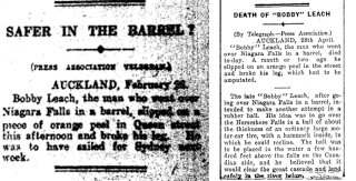 Illustration for article titled The second person to survive a trip over Niagara Falls later died after slipping on an orange peel